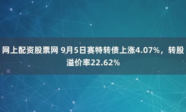 网上配资股票网 9月5日赛特转债上涨4.07%，转股溢价率22.62%