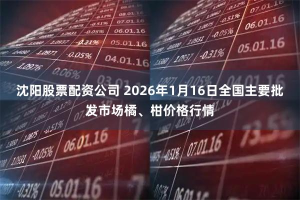 沈阳股票配资公司 2026年1月16日全国主要批发市场橘、柑价格行情
