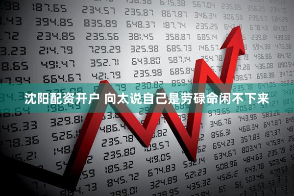 沈阳配资开户 向太说自己是劳碌命闲不下来